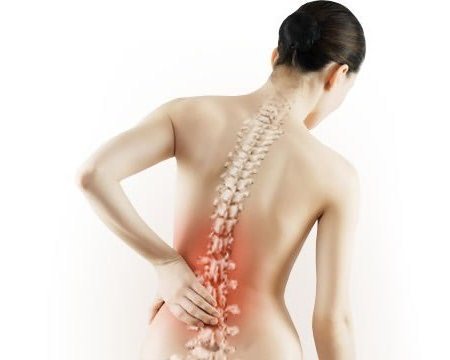 Makanan Sehat yang Mendukung Kepadatan Tulang Setelah Usia 40